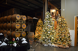 QUANTIVATE HOLIDAY PARTY